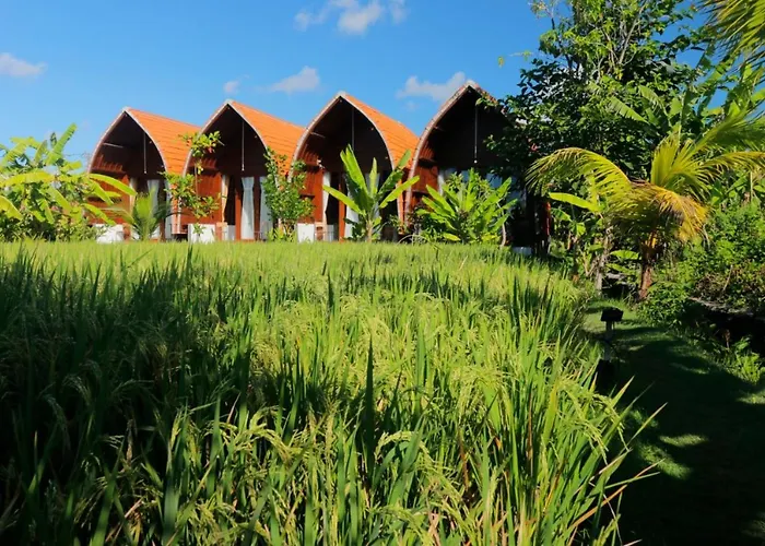 Holiday park Surf Camp 2*