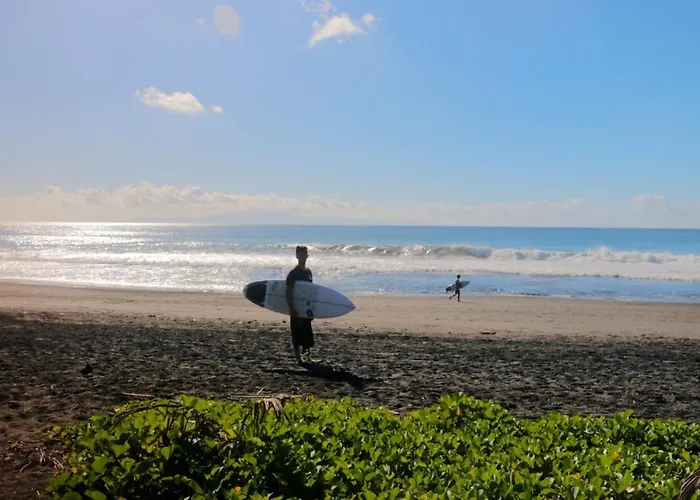 Surf Camp 2*