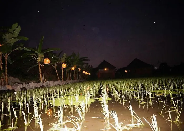 Surf Camp Keramas