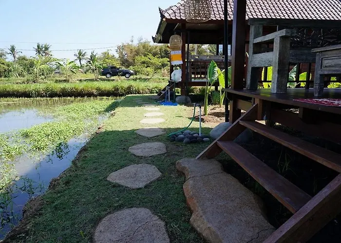 Surf Camp Holiday park