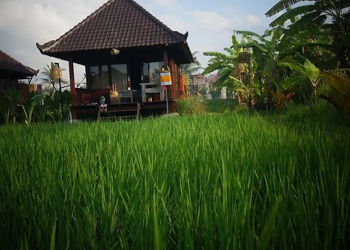 Surf Camp Holiday park Keramas